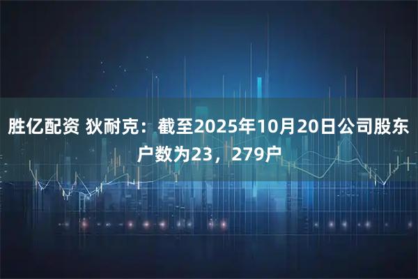 胜亿配资 狄耐克：截至2025年10月20日公司股东户数为23，279户