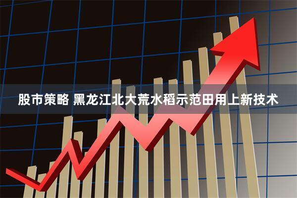 股市策略 黑龙江北大荒水稻示范田用上新技术