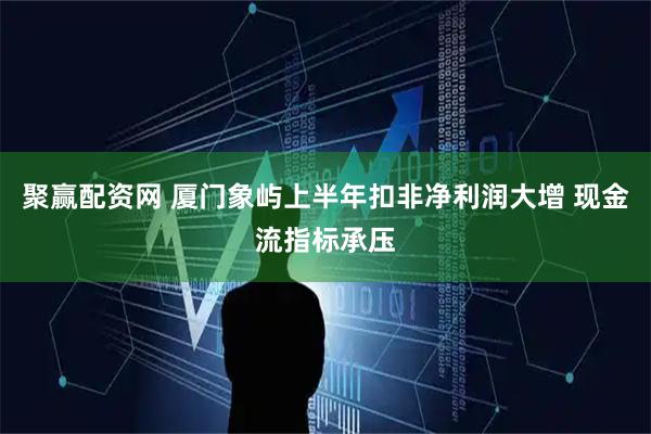 聚赢配资网 厦门象屿上半年扣非净利润大增 现金流指标承压